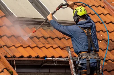 Démoussage et hydrofuge de toiture à Nurieux-Volognat